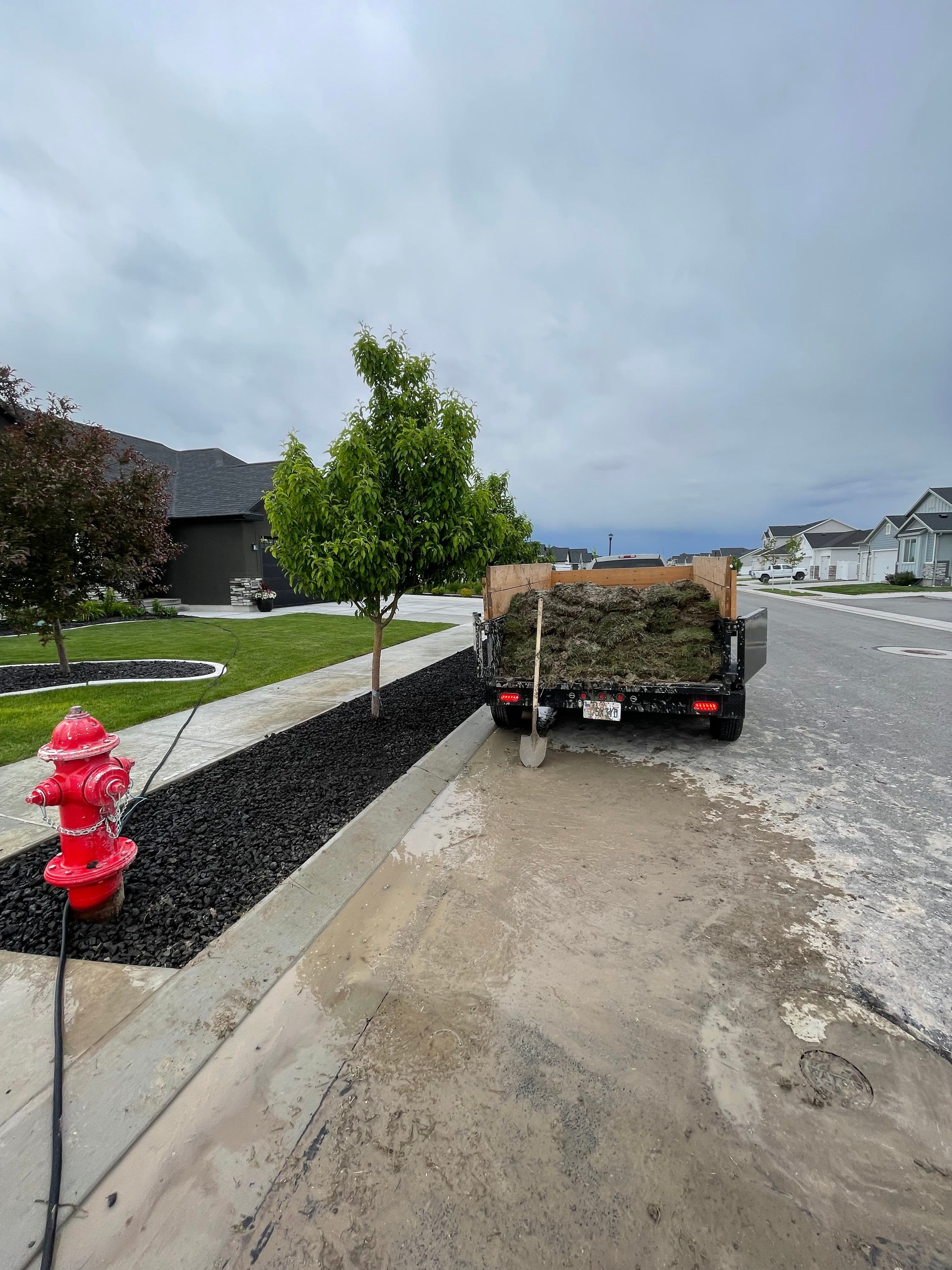 Trailer loaded with sod parked on a residential street next to a fire hydrant and landscaping.
