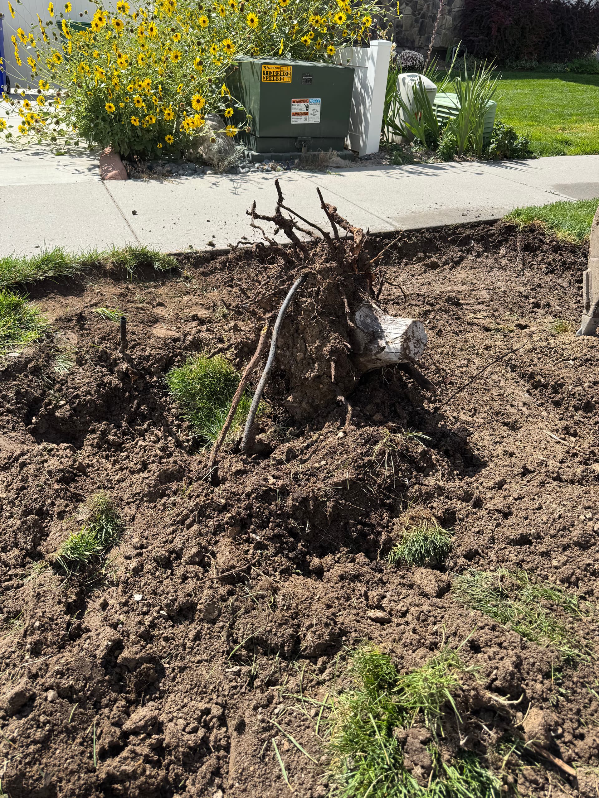 Gallery photos for Beautiful Paver Patio + Xeriscaping: Image #10