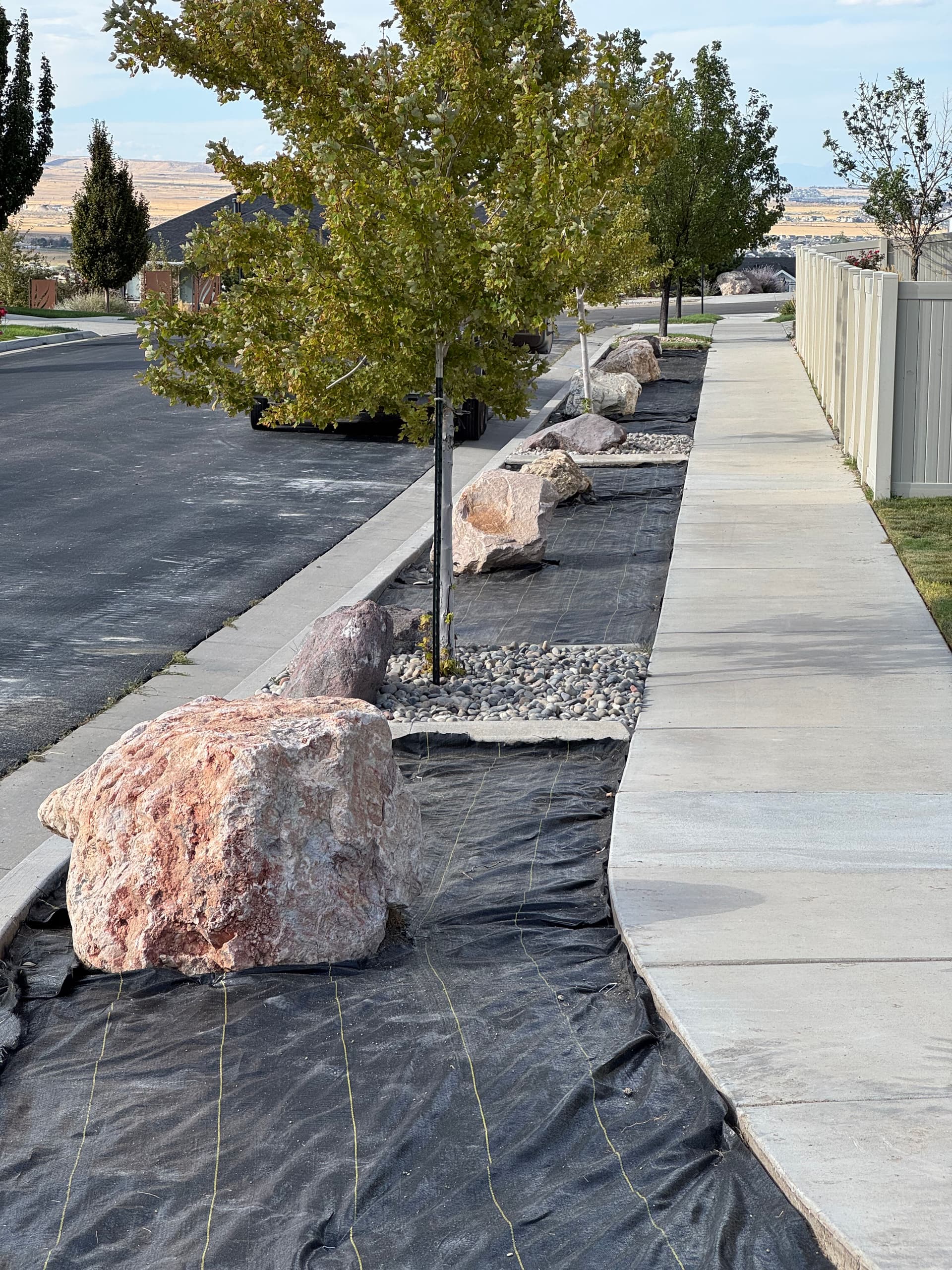 Stunning Zeroscape Transformation for Easy Maintenance