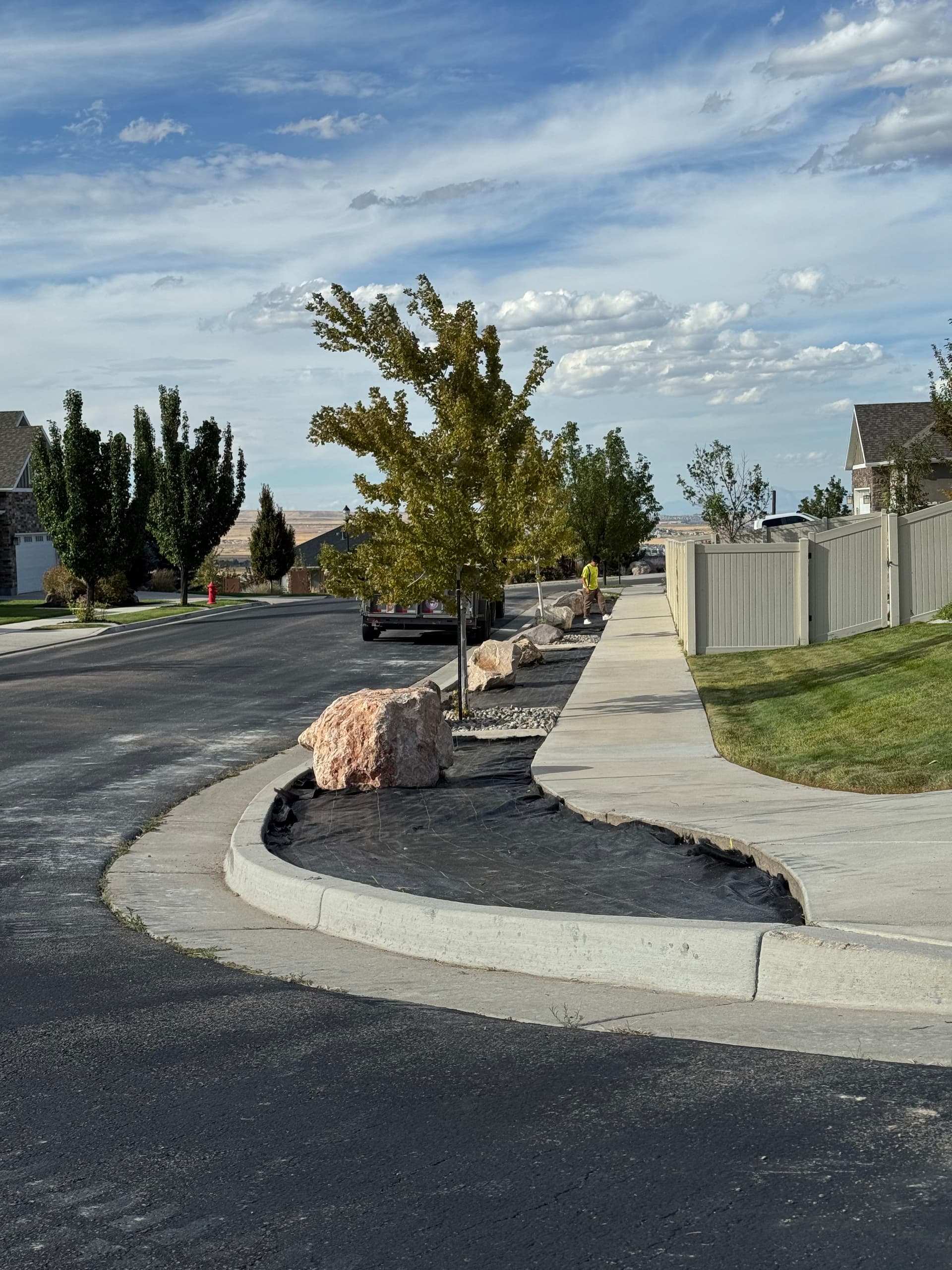 Stunning Zeroscape Transformation for Easy Maintenance