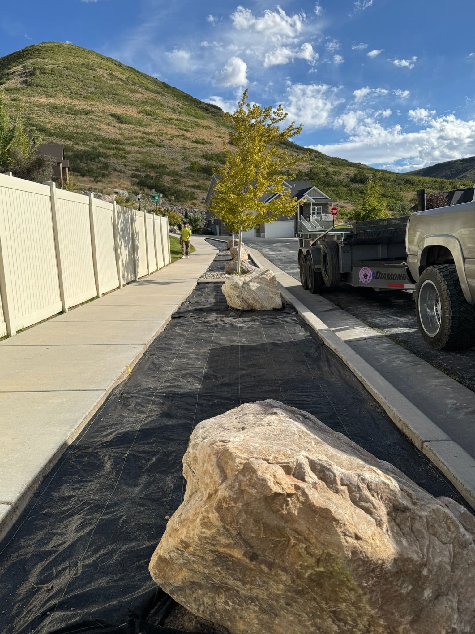 Project Stunning Zeroscape Transformation for Easy Maintenance image