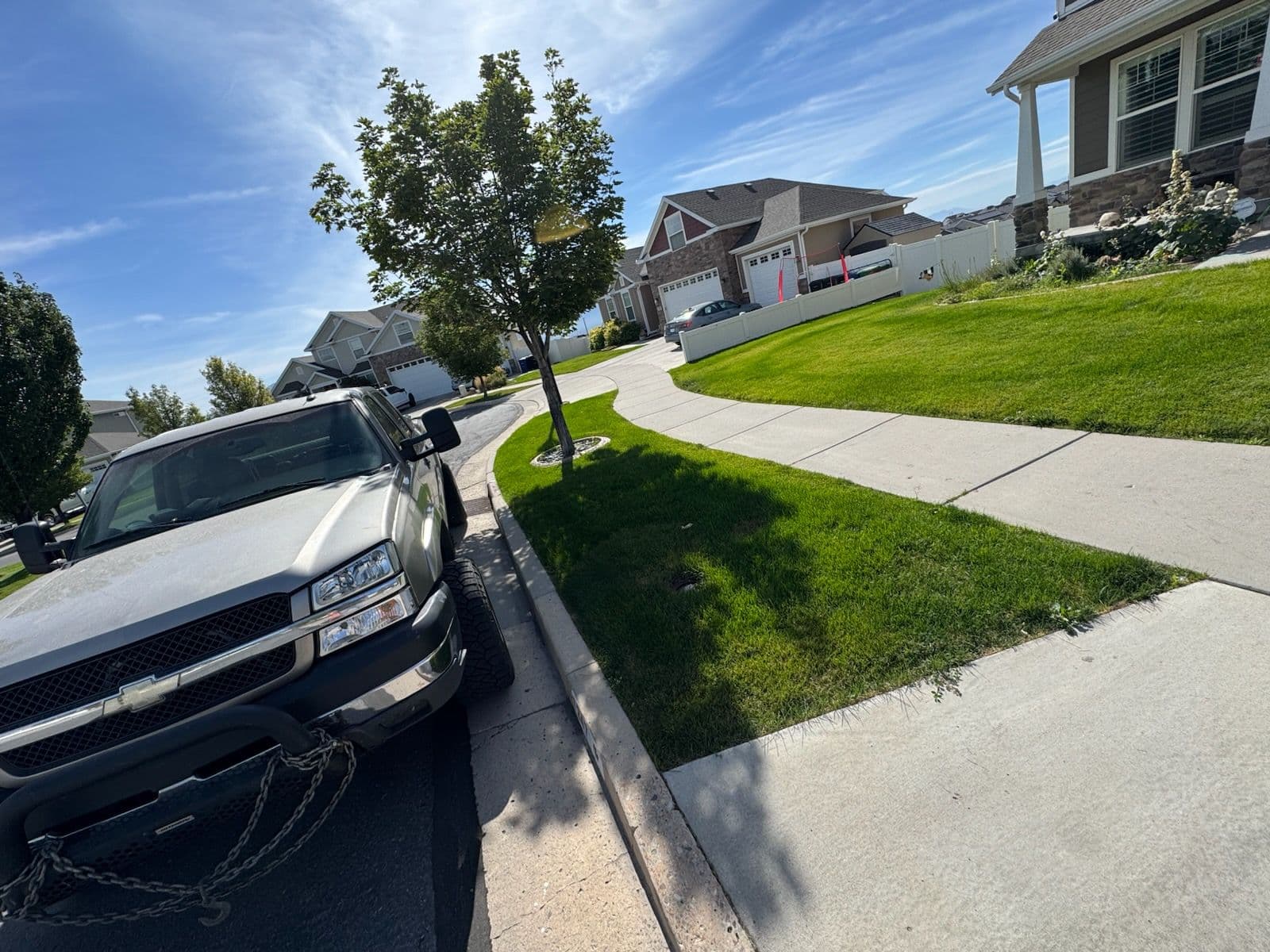 Project Transform Your Park Strip with Expert Care image