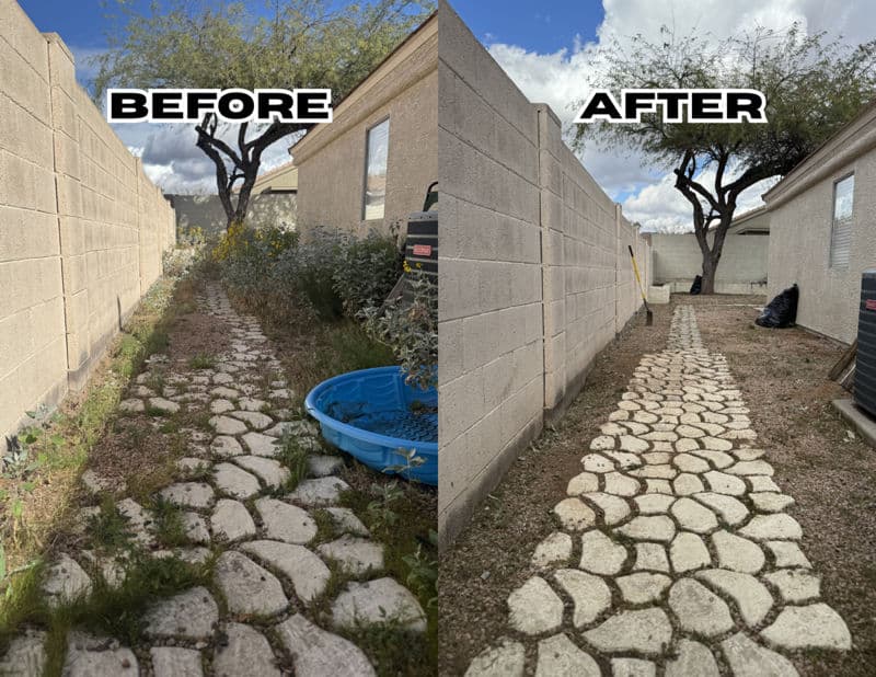 Backyard Path Makeover - Creating Order from Overgrowth