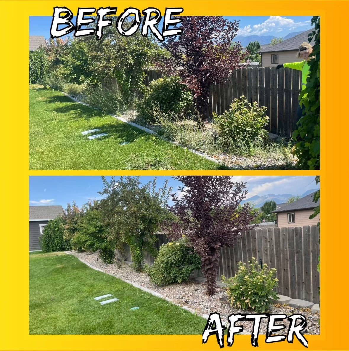 Project Transform Your Yard with Our Expertise image