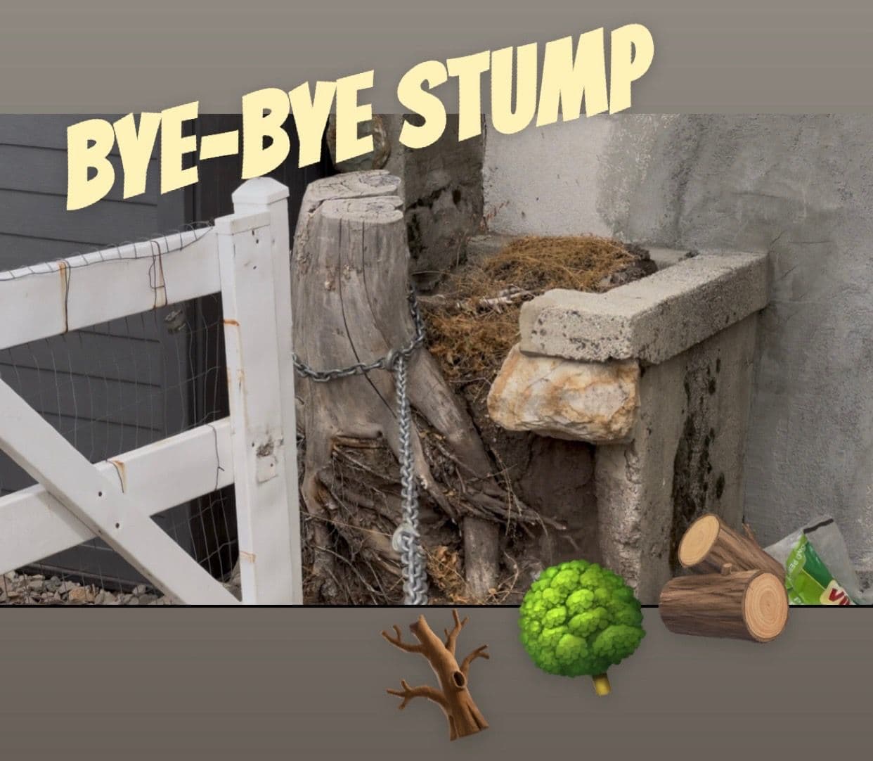 Say Goodbye to Stubborn Stumps with Ease