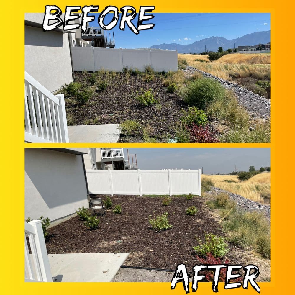 Gallery photos for Clean Up Your Yard with Our Expertise: Image #4