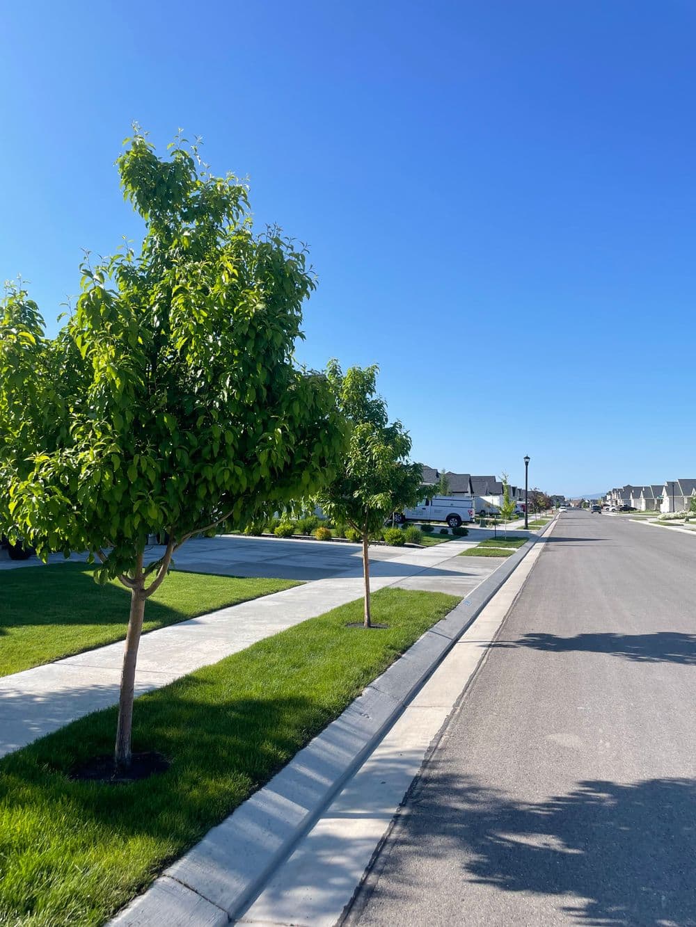 Gallery photos for Sprucing Up the Streets of Saratoga Springs UT: Image #3