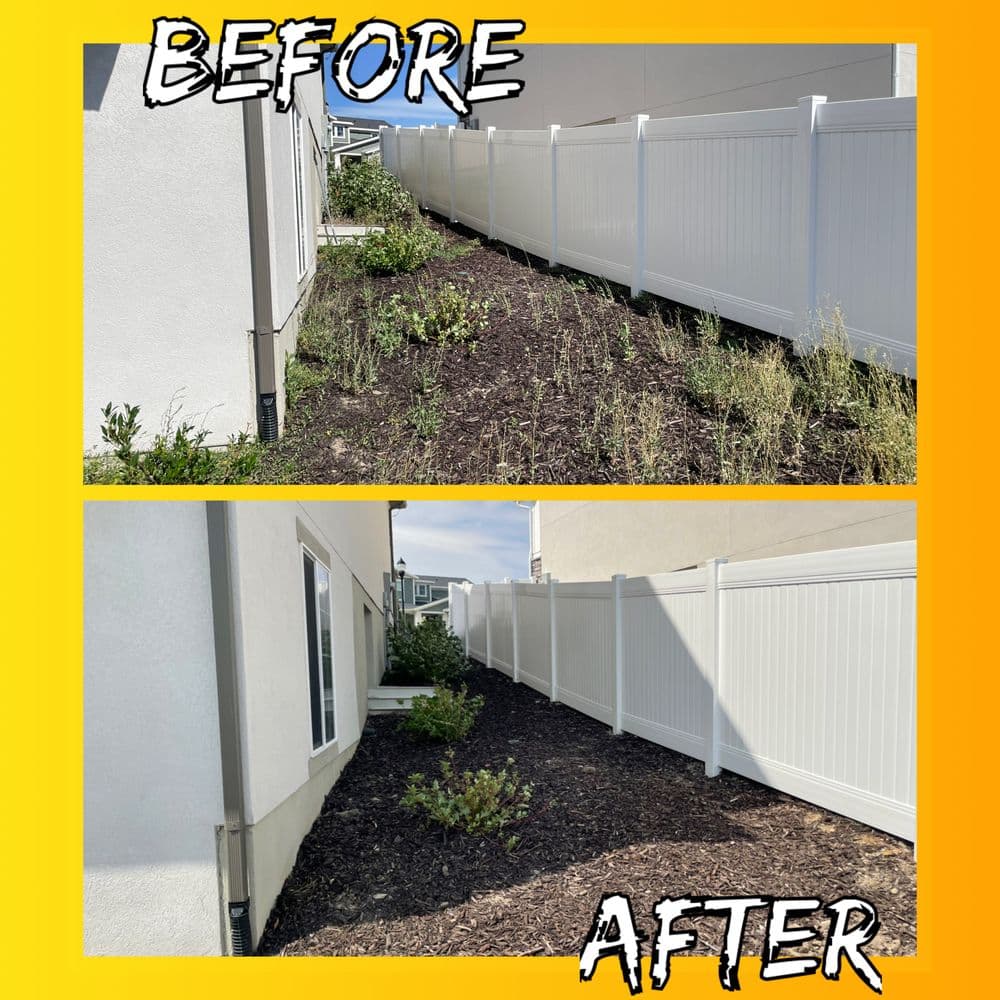 Gallery photos for Clean Up Your Yard with Our Expertise: Image #1