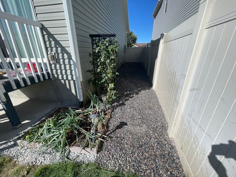 Narrow walkway with gravel, flanked by a fence and climbing plants on trellis.