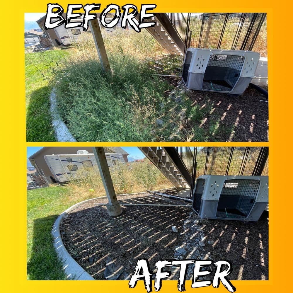 Gallery photos for Clean Up Your Yard with Our Expertise: Image #5
