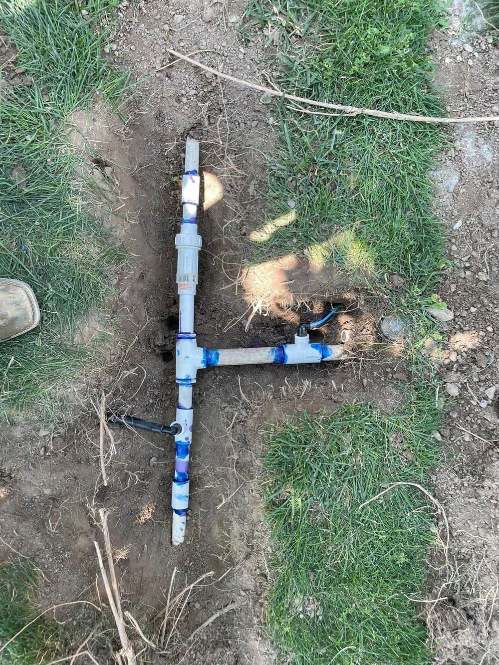 Underground plumbing system with blue PVC pipes and valves in a grassy area.