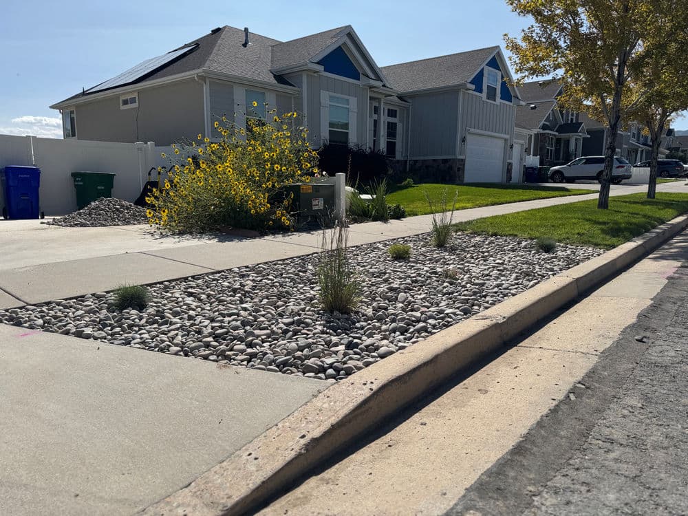 Transforming Local Landscapes with Expert Sod Installation