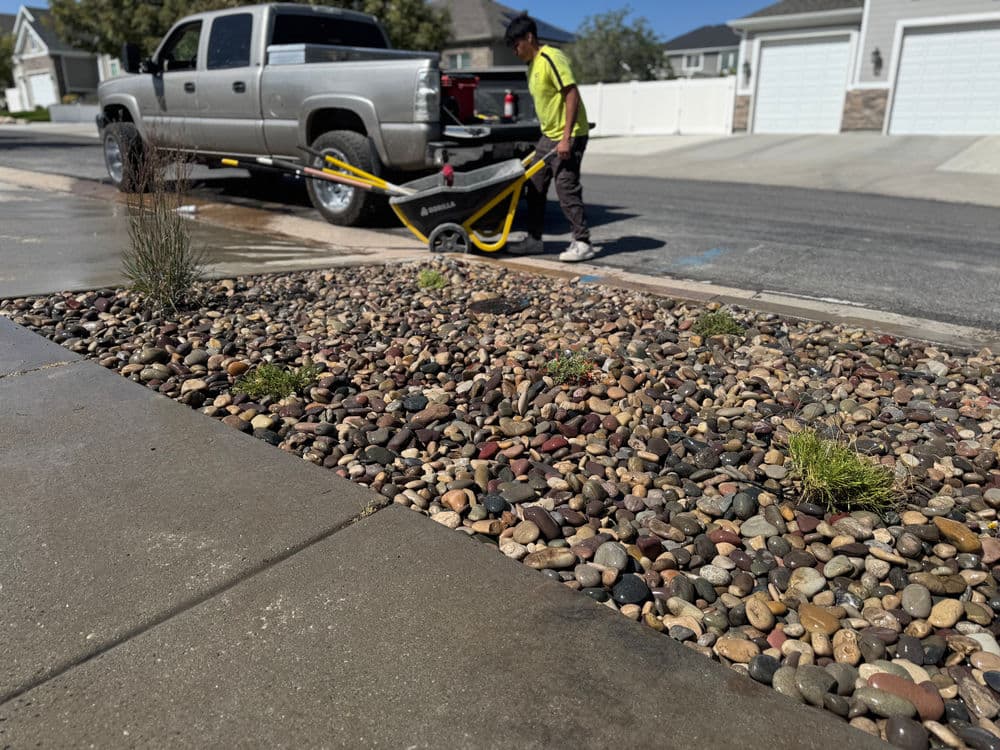 Transforming Local Landscapes with Expert Sod Installation