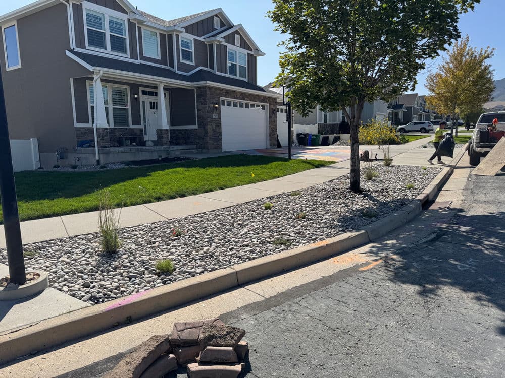 Transforming Local Landscapes with Expert Sod Installation