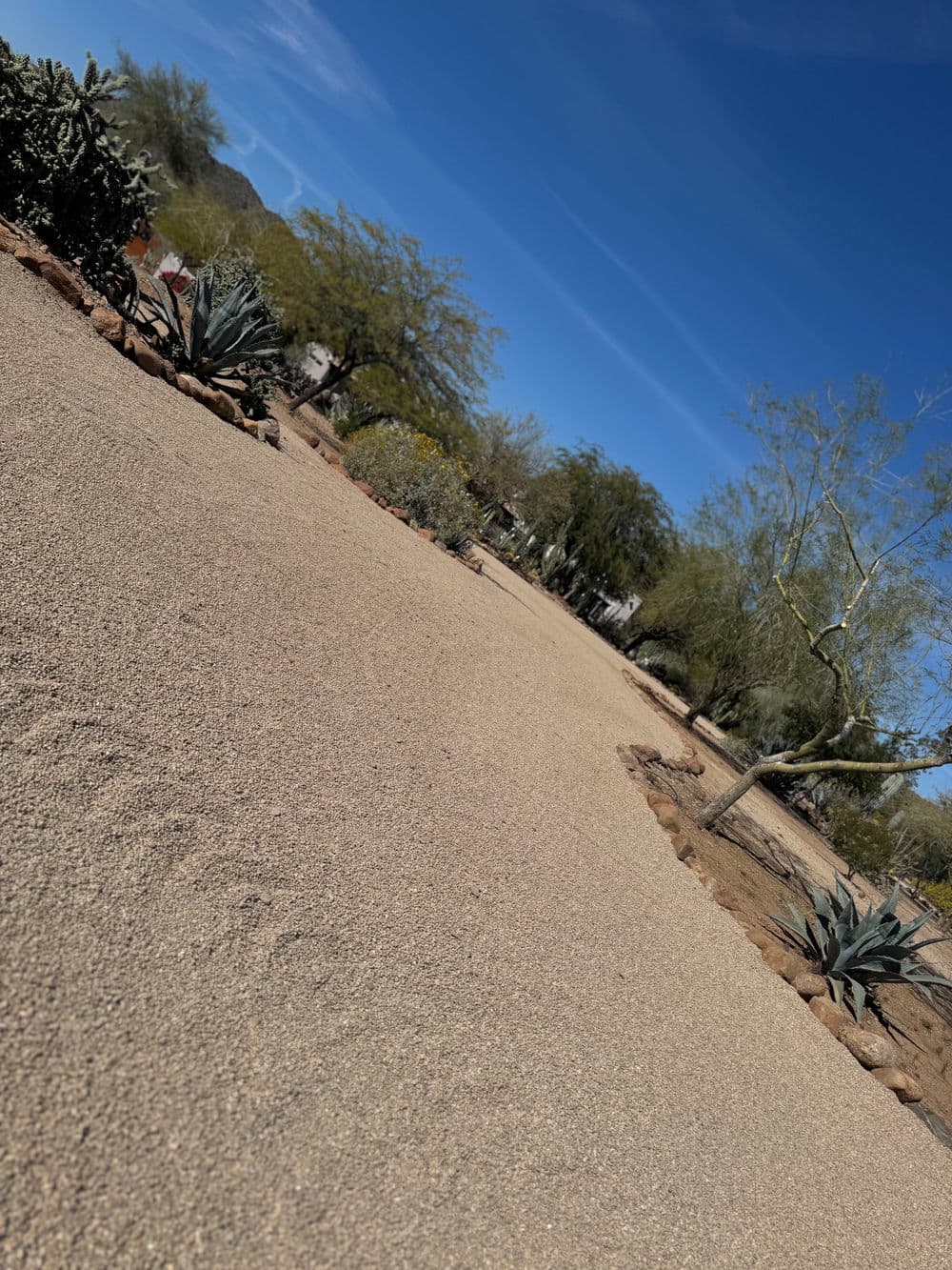 Gallery photos for Rural Driveway Transformation in Cave Creek: Image #7