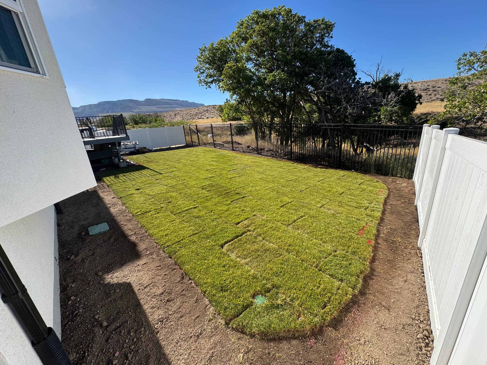 Herriman Backyard Goes From Bare Dirt to Fresh Sod and Sprinklers image